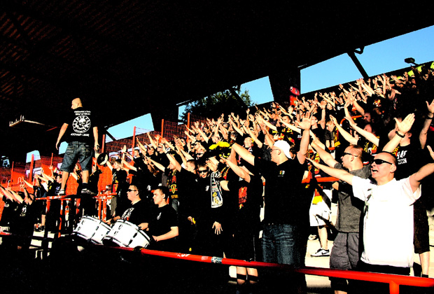 Image for Putting the Pogo into Pogoń 