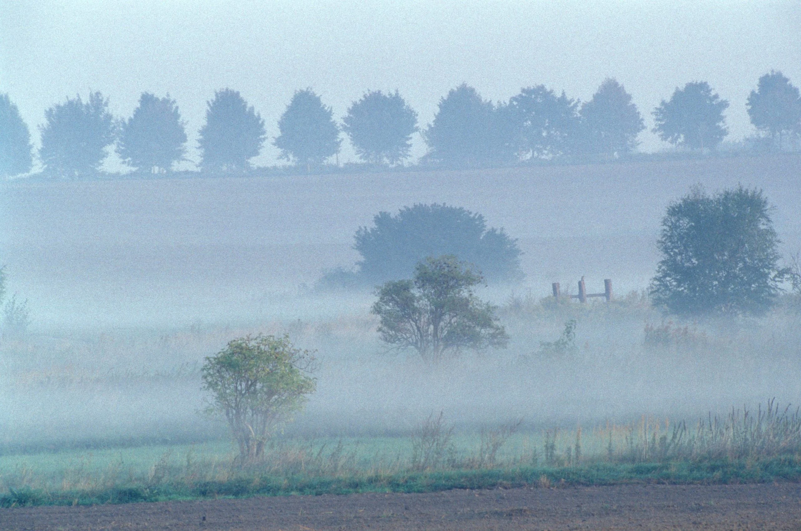 Berlin in fog: 12 images of a ghostly city - The Berliner